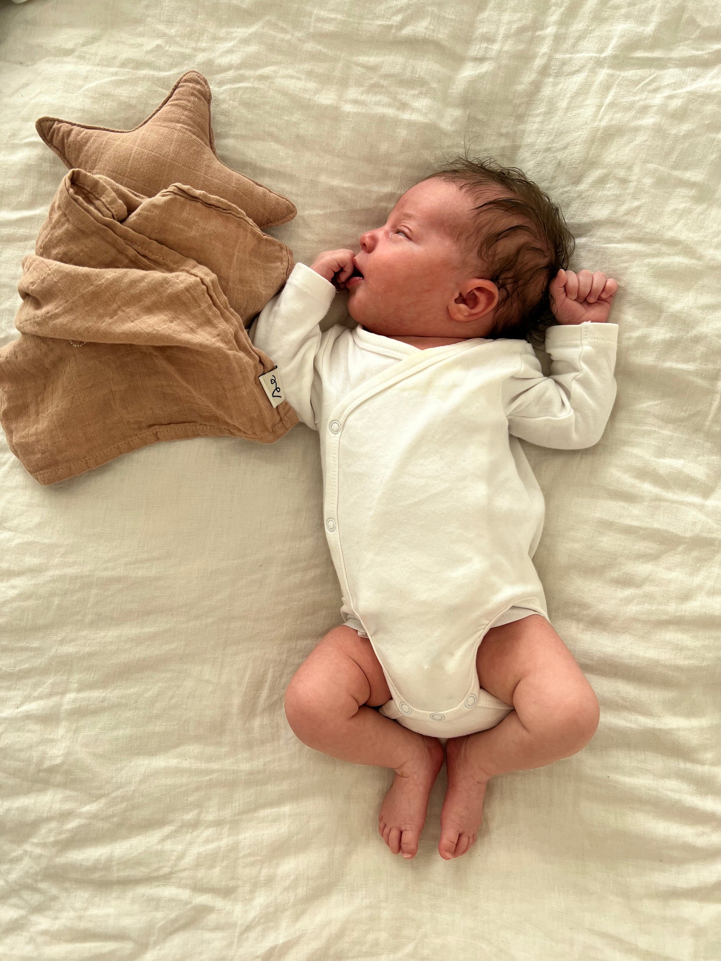 Flat Star Cuddle Toy - Organic Cotton